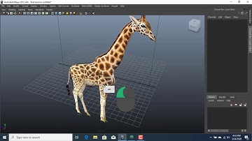 Maya Four leg Animal Modeling Basics part 1 in URDU/Hindi