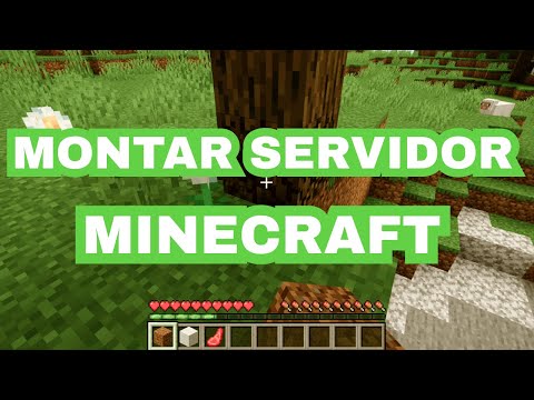COMO CREAR UN SERVIDOR DE MINECRAFT | DOCKER!