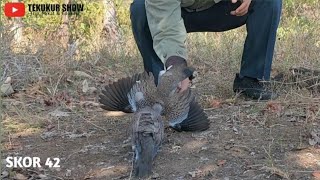 Download lagu MIKAT TEKUKUR KALI INI BERTEMU DENGAN KUK 2 P3NEMBAK JITU, beti/jantan???