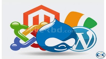 How to install phpbb on cpanel