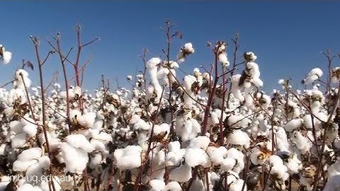 Innovating for agriculture