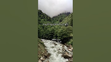 يا أيها الانسان ما غرك بربك الكريم / سورة الإنفطار / الشيخ رعد الكردي