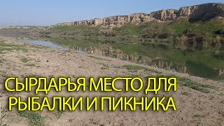 СЫРДАРЬЯ МЕСТА ДЛЯ РЫБАЛКИ И ПИКНИКА