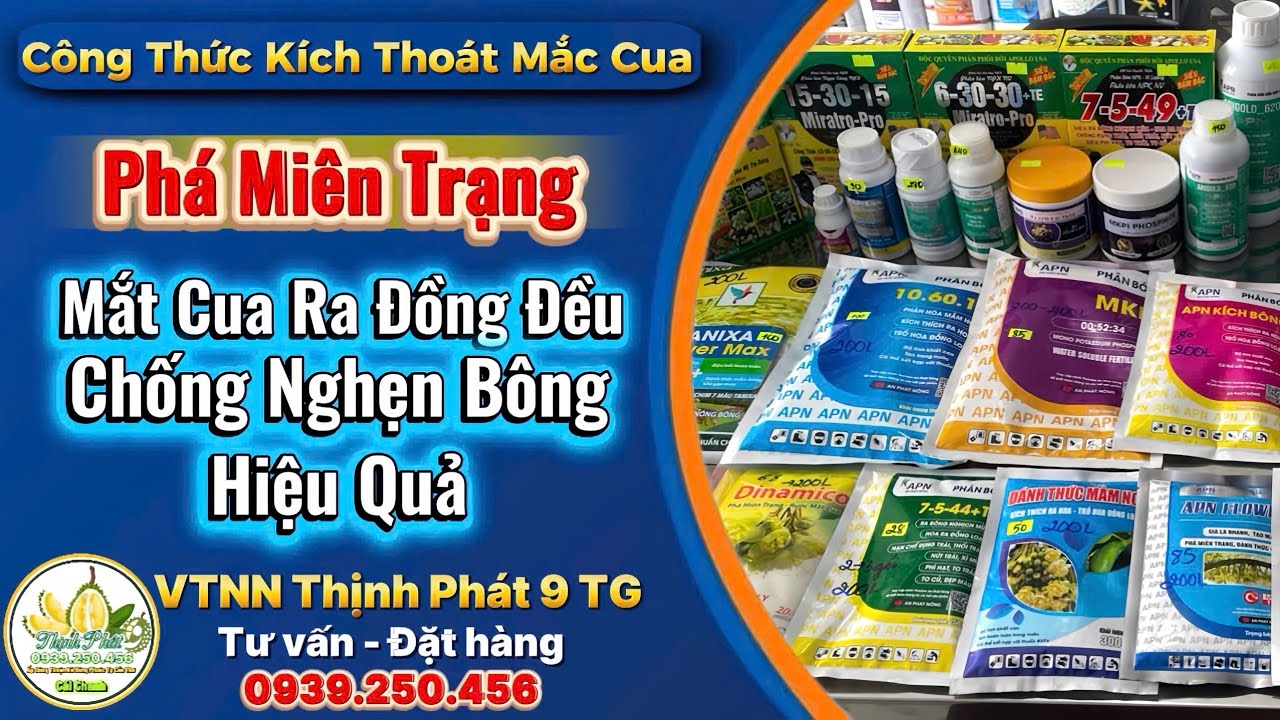 Công thức kích thoát mắt cua (Phá miên trạng), mắt cua ra đồng đều chống nghẹn bông hiệu quả