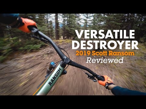 scott ransom 29