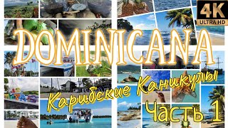 Доминикана: Карибские Каникулы. Часть 1: дорога, пляж, история Торнике, ДР на райском острове