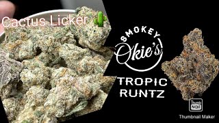 S6 Episode 3 Cactus Licker + Tropical Runtz Strain Review