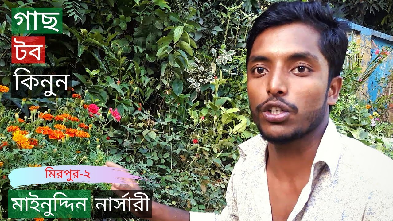 Plant and Planter Price In Mainuddin Nursery | গাছ ও টবের মূল্য ...