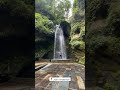 Jibhi Waterfall Tirthan Valley Himachal Pradesh Himachal Shorts Tirthanvalley Trekking Trending Jibhi Waterfall Tirthan Valley Himachal Pradesh Himachal Shorts Tirthanvalley Trekking Trending
