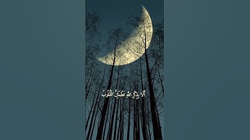 الَّذِينَ آمَنُوا وَتَطْمَئِنُّ قُلُوبُهُم بِذِكْرِ اللَّهِ ۗ #فارس_عباد #تلاوة_عطرة 🤍🌸
