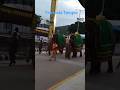 Tirumala Temple swamy Ooregimpu front coming elephants#viral#trending#balaji