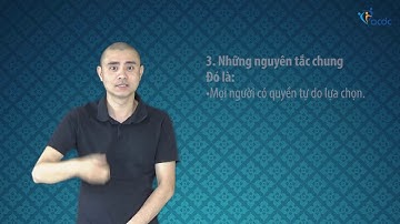 Công ước quốc tế về Quyền của người khuyết tật - Điều 3.1, Những nguyên tắc chung