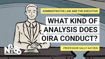 What Kind of Analysis Does OIRA Conduct? [No. 86]