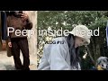 sub) Shopping at IKIJI+Autumn picnic🐕 VLOG #13