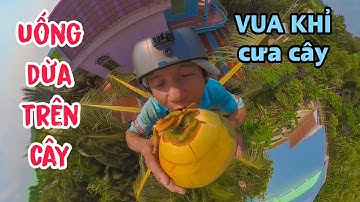 Người đàn ông mạo hiểm uống nước Dừa trên ngọn cây khiến người xem ai cũng thót tim - Vua Kh.ỉ