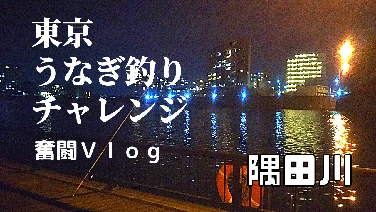 うなぎ釣り ｖｌｏｇ 東京うなぎ釣りチャレンジ その２ 隅田川 ハイシーズン中の釣りもの うなぎ 投げ釣りすらあまりやった事無い初心者がシーズン中に一匹釣り上げられるか 野良イタキッチン Youtube