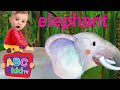 E is for elephant and egg  animal stories for toddlers  abc kid tv  nursery rhymes  kids songs