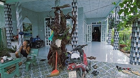 Tập 4157 : Cô chú lớn tuổi gia đình khó khăn nhà vườn tâm huyết đẹp thổ cư đường ô tô giá giảm mạnh