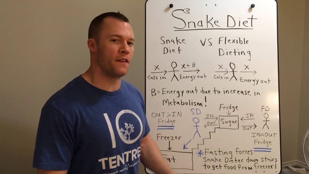 Snake Diet vs Flexible Dieting...Fridge and Freezer Analogy. YouTube