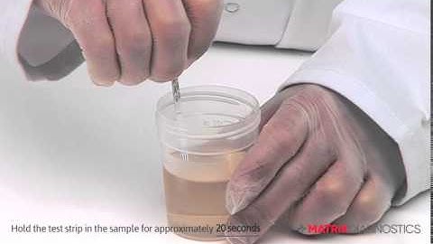 How to Use Your Matrix Single Drug Dip Test