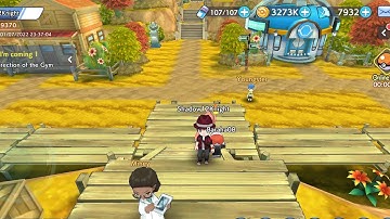 Pokemon Infinity Island Pewter City