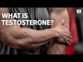 How the 'manly' hormone testosterone affects everyone's behaviour