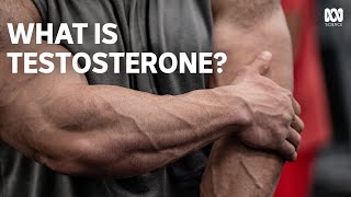 How the 'manly' hormone testosterone affects everyone's behaviour