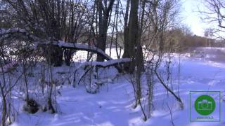Halls Winter Rally 2012  (GR/SS 11-12, 5-6, 1-2)