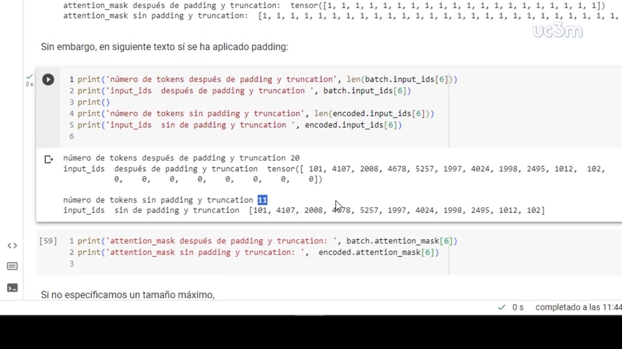 5.9. Padding y truncation. Parte 2