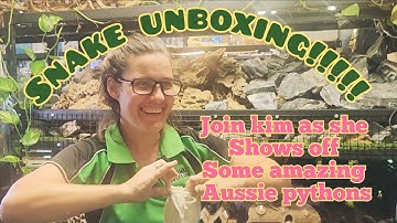 Snakes galore! Unboxing Australian pythons with even more amazing colour morphs.