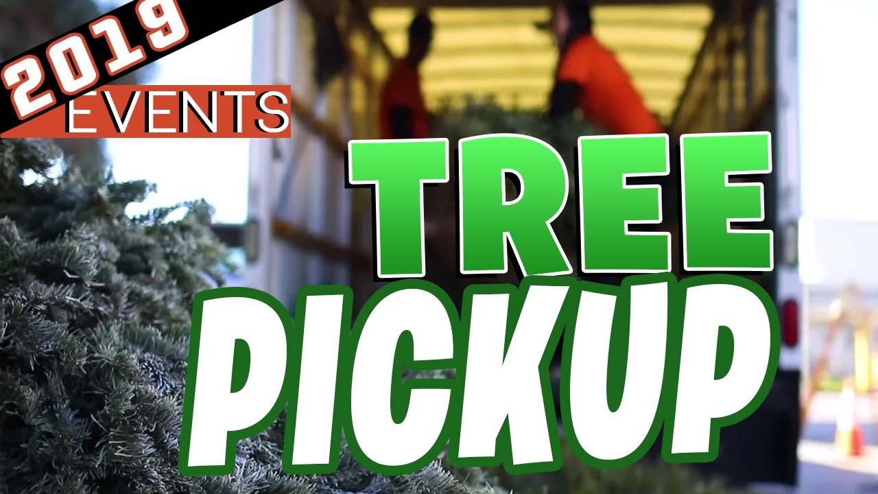 Santee Christmas Tree Pickup 2019 - San Diego Real Estate Agent