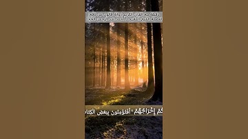 #تلاوة_خاشعة لفضيلة الشيخ المقرئ د. أحمد عبد الرحمن الخجا برواية قالون #اكسبلور #المصحف