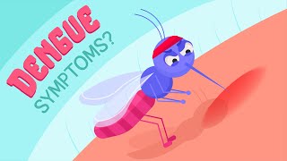 What are symptoms of Dengue fever? How is Dengue treated? How to avoid it?