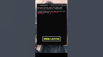 史上最离谱的代码，让你随时随地连上WiFi！ #破解 #程序员 #电脑知识 #script #指令