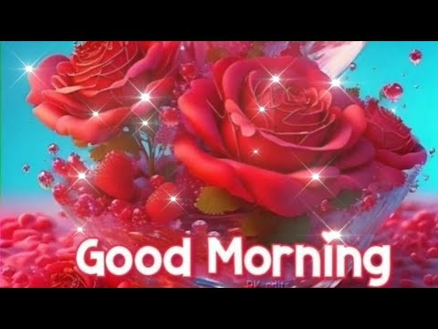 Good Morning Status Video Good Morning whatsapp Status Video