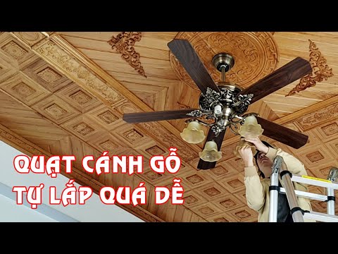 Video Cách lắp quạt trần 5 cánh gỗ có chao đèn thủy tinh đẹp... - youtube