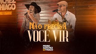 Pedro Sanchez e Thiago - Não Precisa Você Vir (VIDEO OFICIAL) [GARRAFAS E CIGARROS]