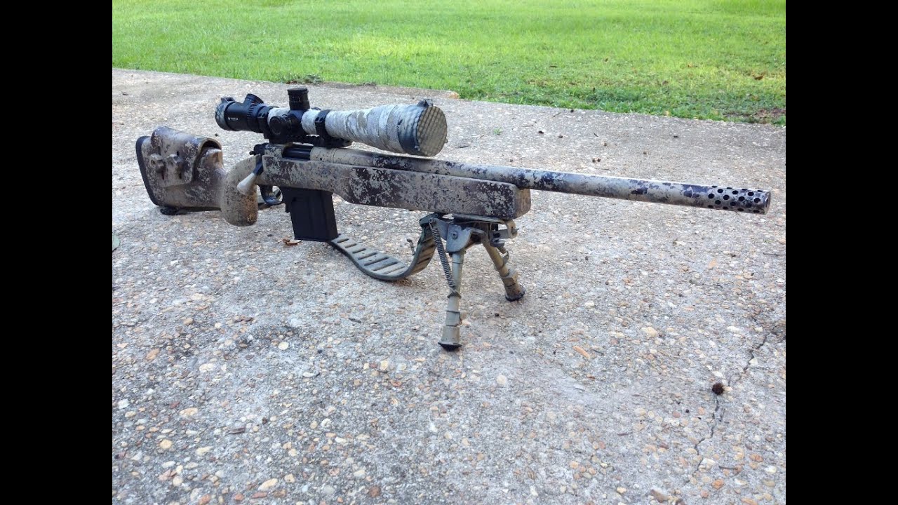 Best Long Range 308 Sniper