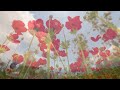 Футаж❤️Степные Маки❤️ Background Steppe Poppies