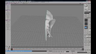 Softimage XSI  Clone Single Modeling Symm