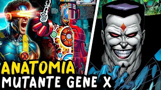 ANATOMIA MUTANTE EXPLICADA - A ORIGEM DO GENE X