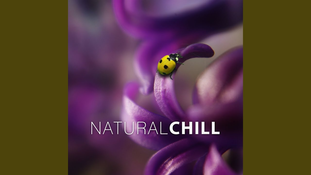 Healing by Touch & Nature Sounds