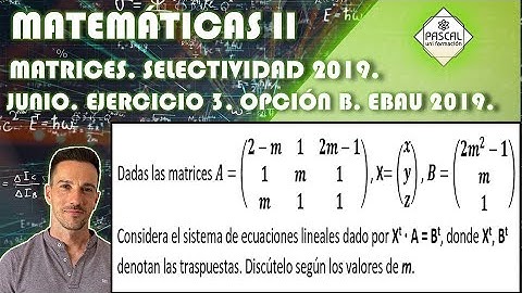 Matemáticas 2 Bachillerato Selectividad EBAU 2019 Discutir Sistema de Ecuaciones Rouché Frobenius