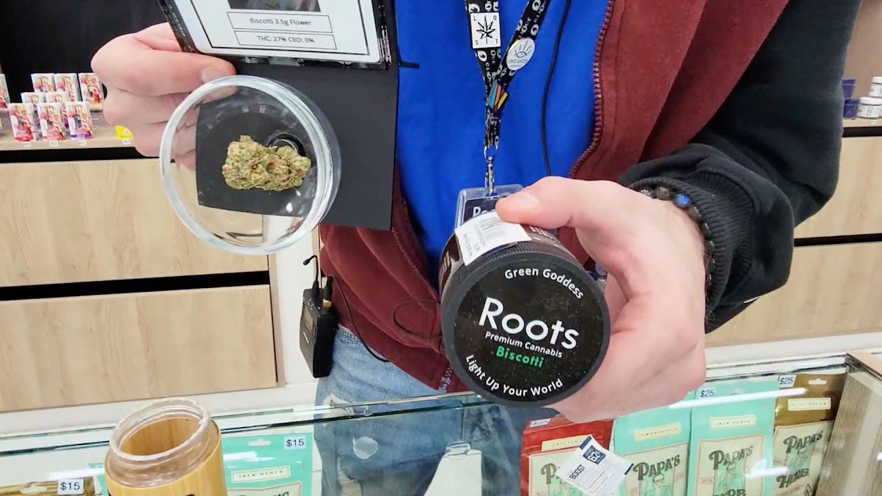 Roots Brand, Biscotti Flower and Jet Fuel CBD YouTube