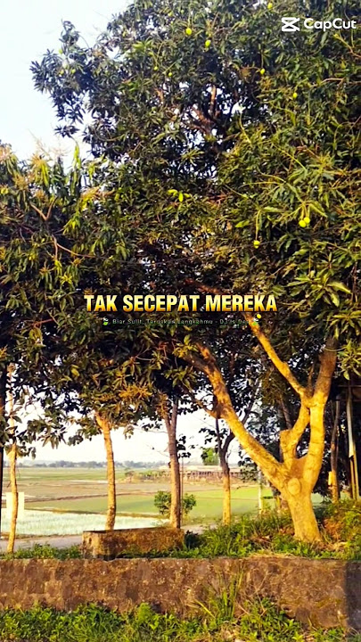 BAKAR SEMANGAT Dengan Mentari Pagi#videoshorts#editcapcut#sunrise#alam#indonesia