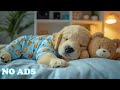 12 Hours Of Dog Calming Music 🐶 Soothing Music for Puppies 🌱 Gentle Sounds 🌙 Healing Dog Music
