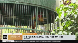 SoCal Spotlight: Famous macaws at the Mission Inn