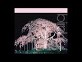 bird - 桜 (Single Mix)