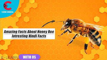 Amazing facts about HoneyBee | Interesting Hindi Facts - EP 31 | Coin Media
