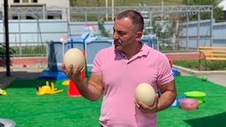 ЯЙЦО на СКОВОРОДЕ. ДОМАШНИЙ РЕЦЕПТ. ENG SUB ЯЙЦО на СКОВОРОДЕ. ДОМАШНИЙ РЕЦЕПТ. ENG SUB